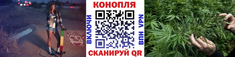 Какие есть наркотики Кондопога Cocaine  Меф мяу мяу  ГАШ  Alpha-PVP  Бутират  Канабис 