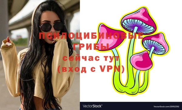 твердый Зеленодольск