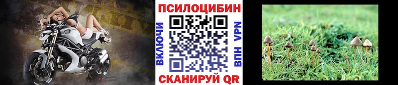 магазин продажи   Кондопога  Псилоцибиновые грибы прущие грибы 
